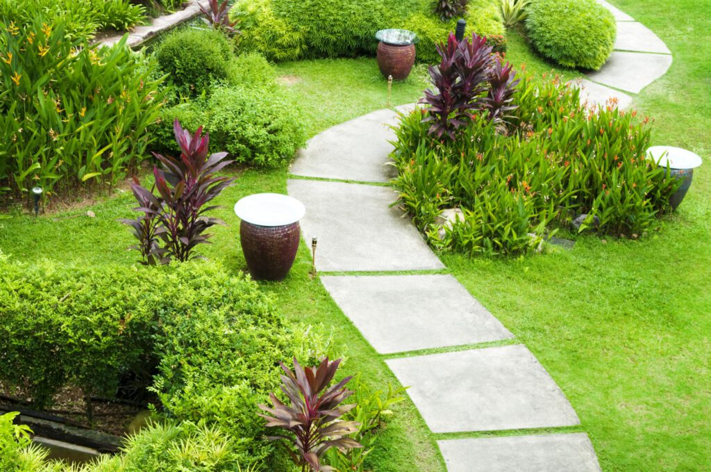 walkway with plants and grasses